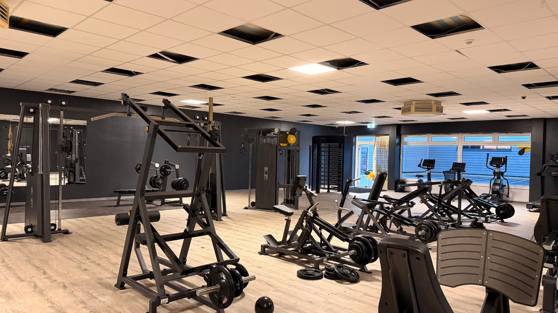 MFit Smart Grasberg